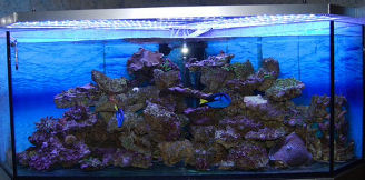 Water Tank Aquarium LED strip lighting